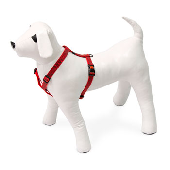 KARLIE PETTORINA ART SPORT GRAPHIC 45-70 CM 20 MM