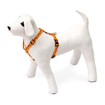 KARLIE PETTORINA ART SPORT STRIPE 35-50 CM 15 MM