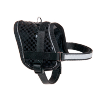 TEENY W PETT.  NERO-BIANCO 31-40CM