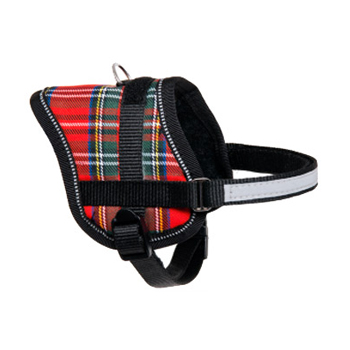 TEENY W PETT.  ROSSO-BIANCO 26-35CM