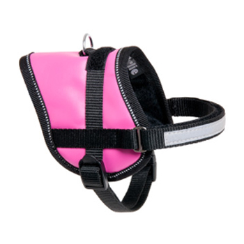 TEENY W PETT.  ROSA 26-35CM