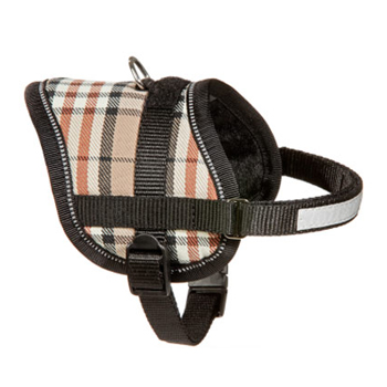 TEENY W PETT. BEIGE  36-46CM