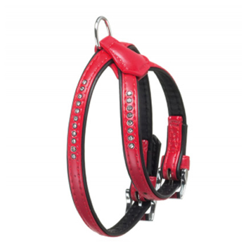 PETTORINA ALP MONTE CARLO  ROSSO 35-41CM 14MM