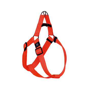 PETTORINA ASP REFL. ARA 35-60CM 20MM S&G