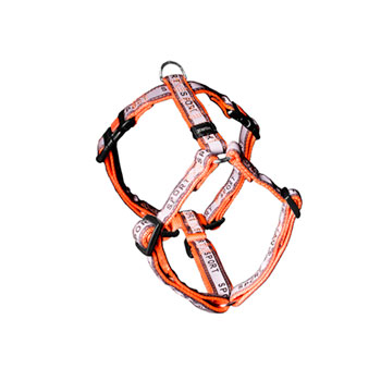 PETTORINA AJP SPORT  ARANCIO  65-100CM 25MM