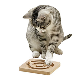KARLIE KITTY BRAIN TRAIN 19x19 CM