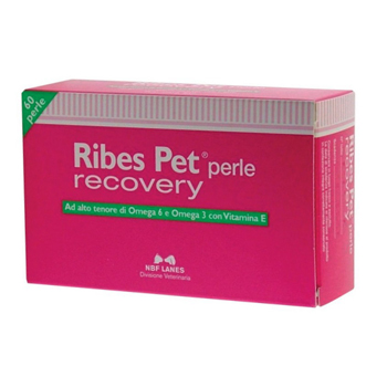 NBF LANES RIBES PET RECOVERY 60 PERLE