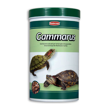 PADOVAN GAMMARUS  1,1KG / 10LT