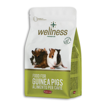PADOVAN WELLNESS GUINEA PIGS 1 KG