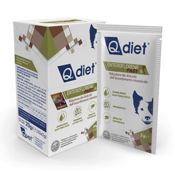 Q.DIET ENTEROFLORENE FAST 10 buste (10X2G) - SCADENZA 31 MAGGIO 2025