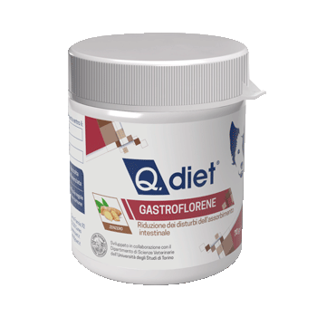 Q.DIET GASTROFLORENE 70GR