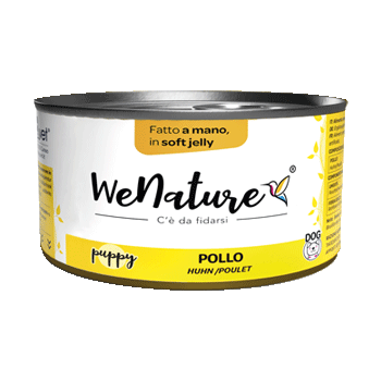 WENATURE DOG PUPPY POLLO IN JELLY 150 GR