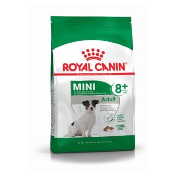 ROYAL CANIN DOG MINI ADULT 8+ 800 GR