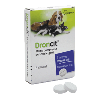 DRONCIT Cane/Gatto 6 COMPRESSE 50MG