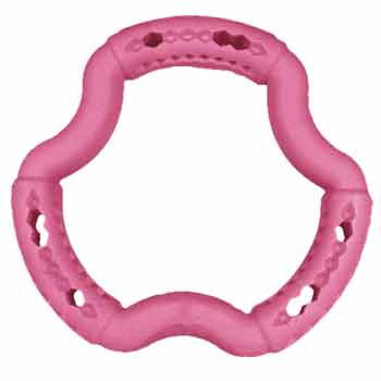 Gioco Cane ANELLO TPR FRUTTI ROSSI 21CM