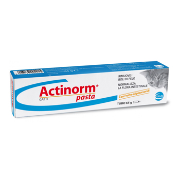 CEVA-VETEM ACTINORM PASTA GATTI 65 GR