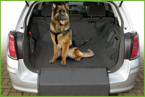 ACCESSORI AUTO