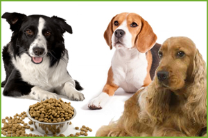 ALIMENTI SECCHI CANE MEDIO E MAXI