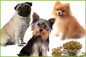 ALIMENTI SECCHI CANE MINI