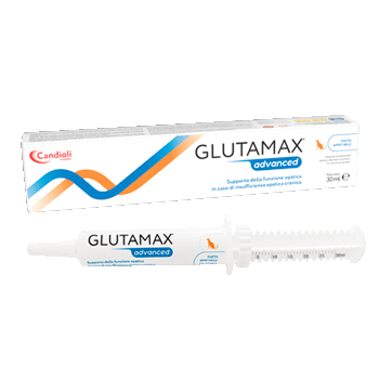 Glutamax ADVANCED Siringa 30ML