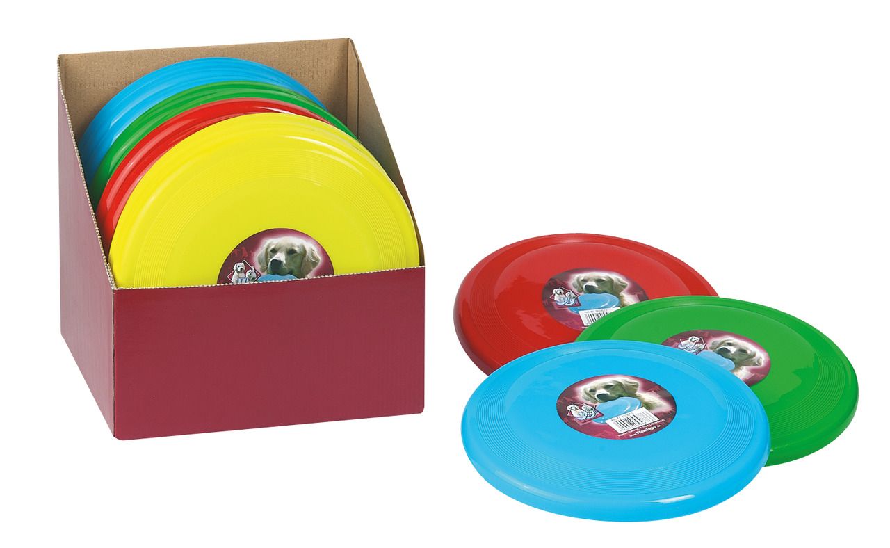 FRISBEE DE PLASTICA