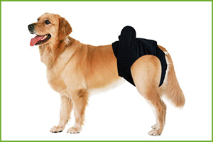 MUTANDINE IGIENICHE PER CANI