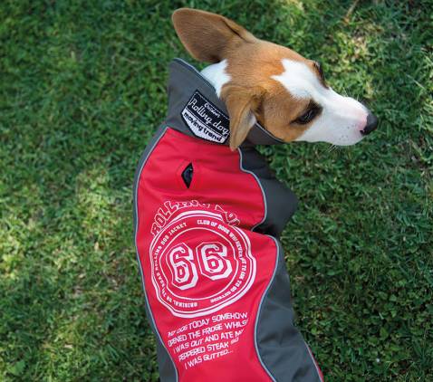ROLLING DOG CHICAGO - JACKET Rosso/Grigio