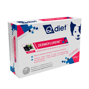 Q.DIET DERMOFLORENE 15 CAPSULE