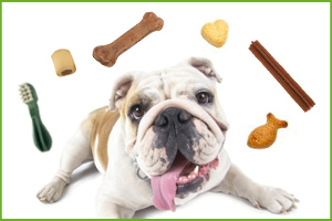 SNACK - MASTICAZIONE - PREMI